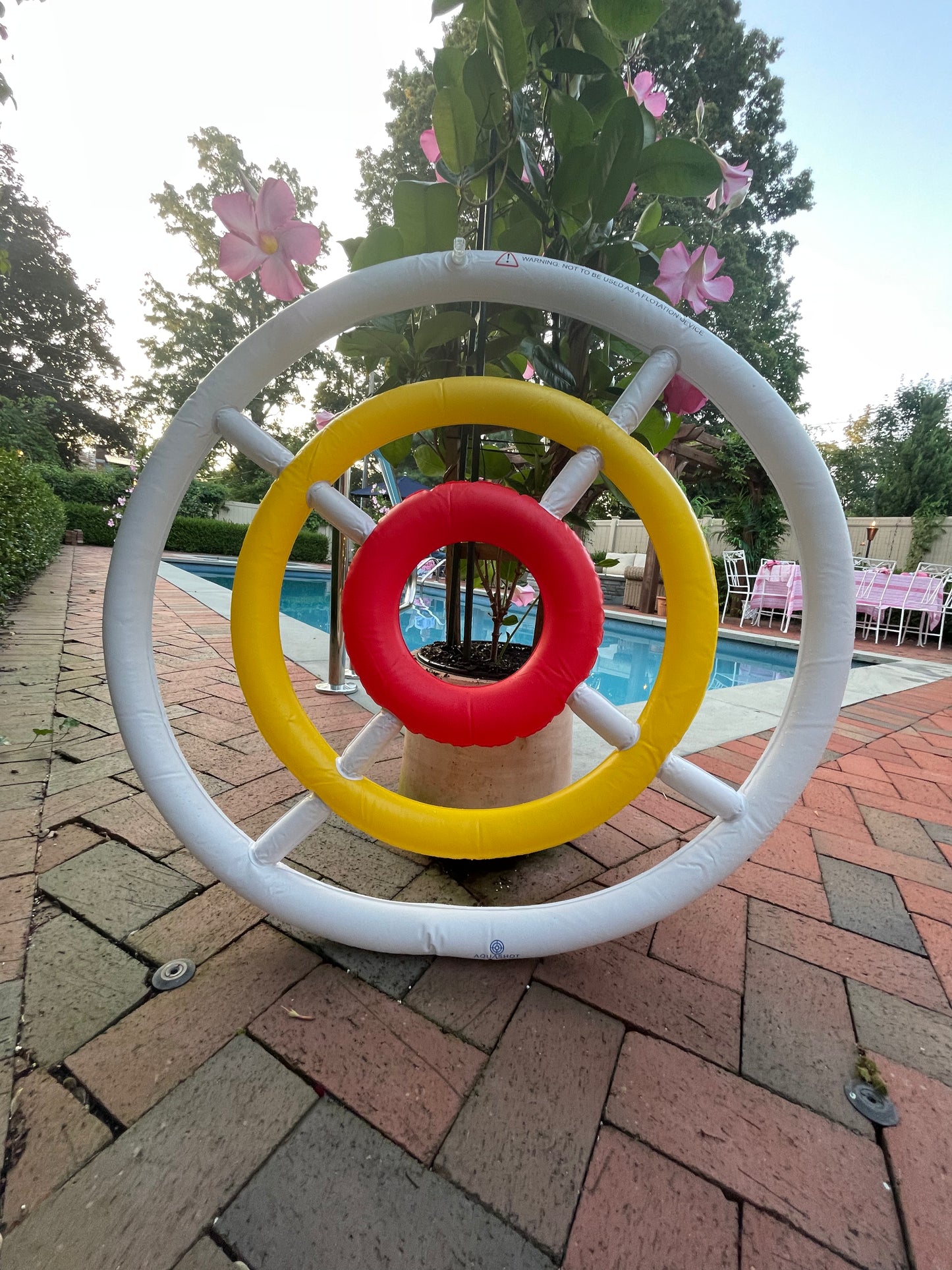 Aquashot Pool Ball Set